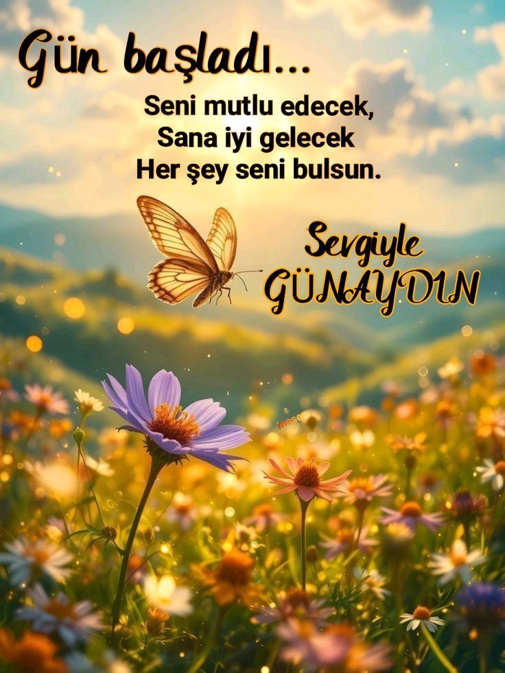 Yasemin Karadede tweet media