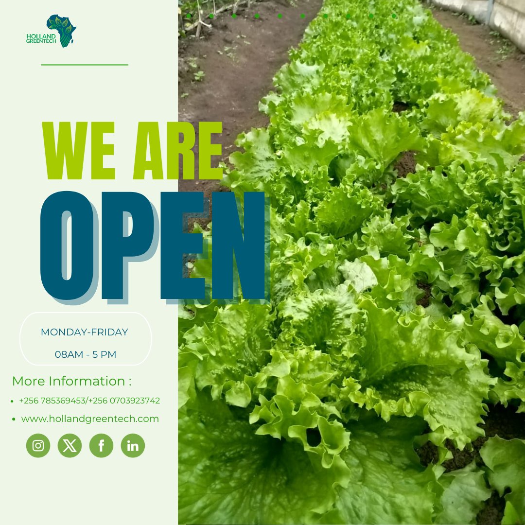 Holland Greentech Uganda tweet media