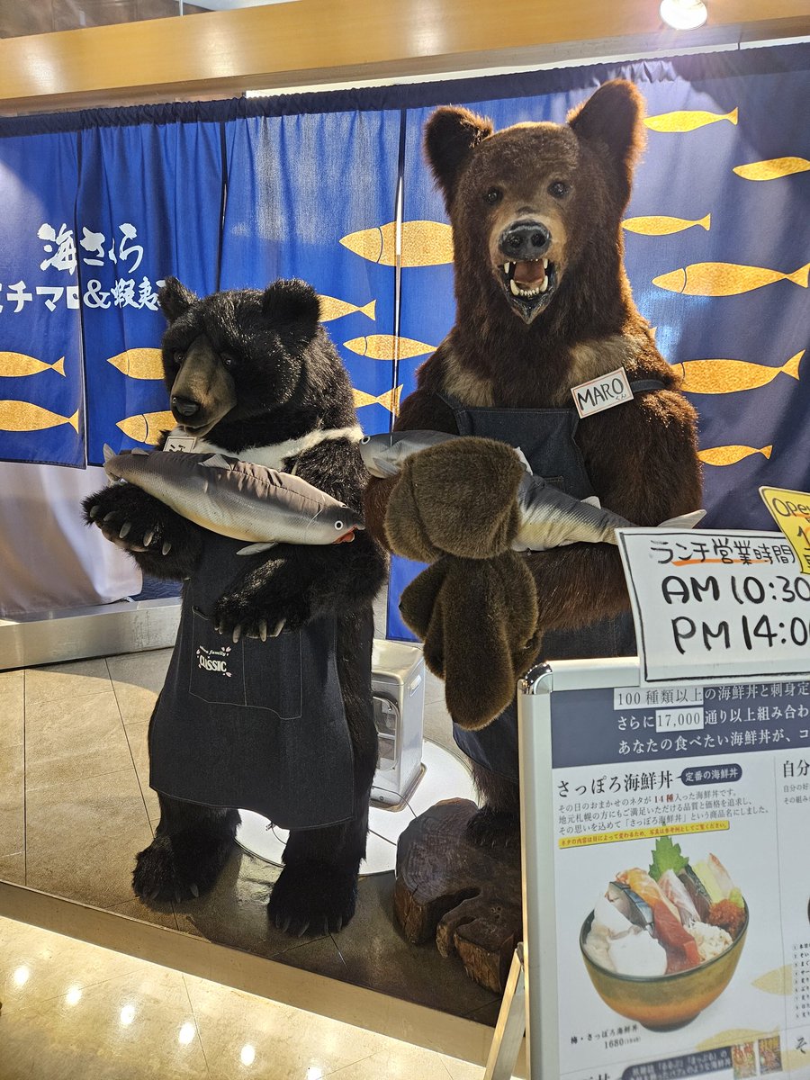 JR55 SAPPOROビルに熊の剥製2匹いるとは。笑