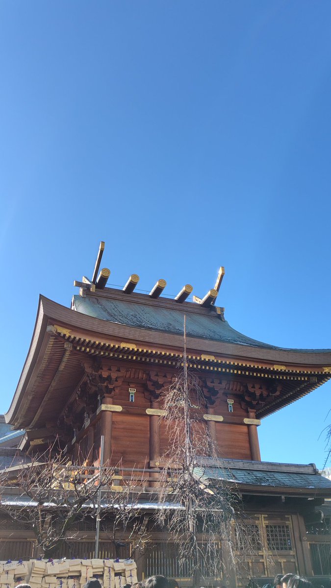 ミッチー (@60000Circus) / Posts / X