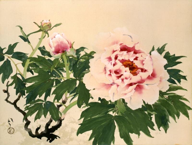 特別展「花・flower・華」横山大観の桜など“四季の名画”約50点、渋谷・山種美術館で - fashion-press.net/news/141205