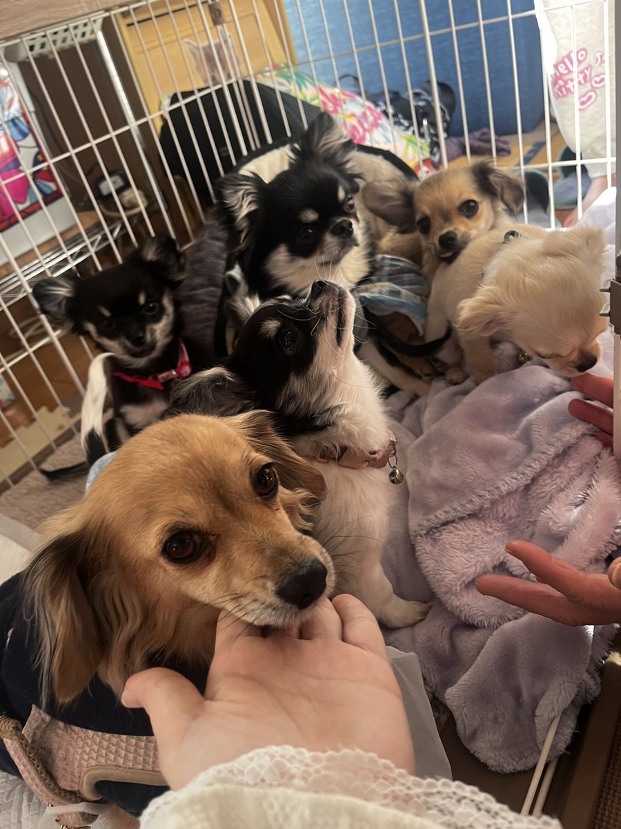 琉陀瓶ルン tweet media