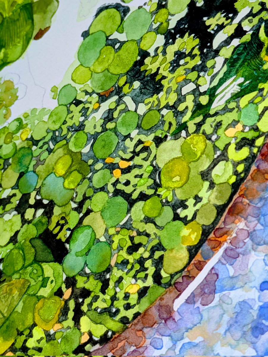 ちょっと星空みたい🌠