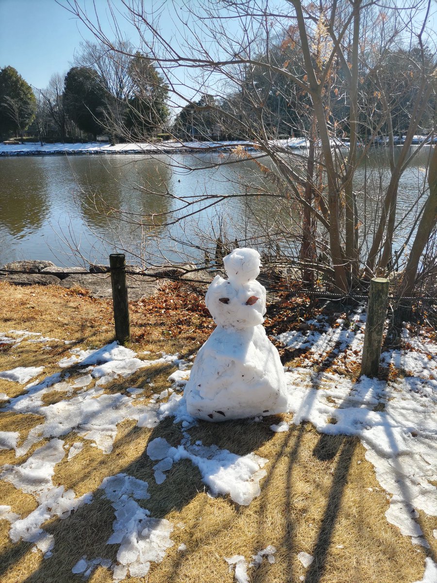 ネコちゃんっぽい雪だるま⛄️