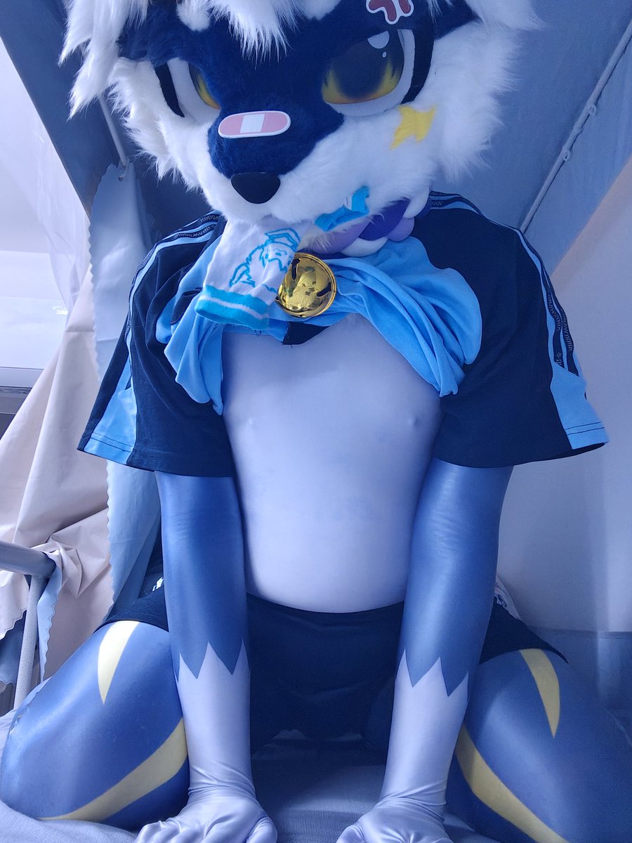 RennautFox's tweet photo. 说是小狗？ https://t.co/aWwNCLPF8i