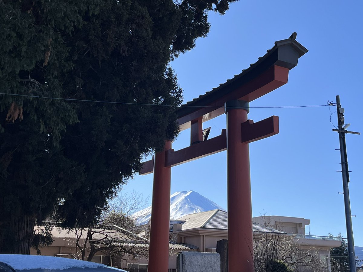 京都中央卸売市場 魚肴屋だいしめ🐟 tweet media