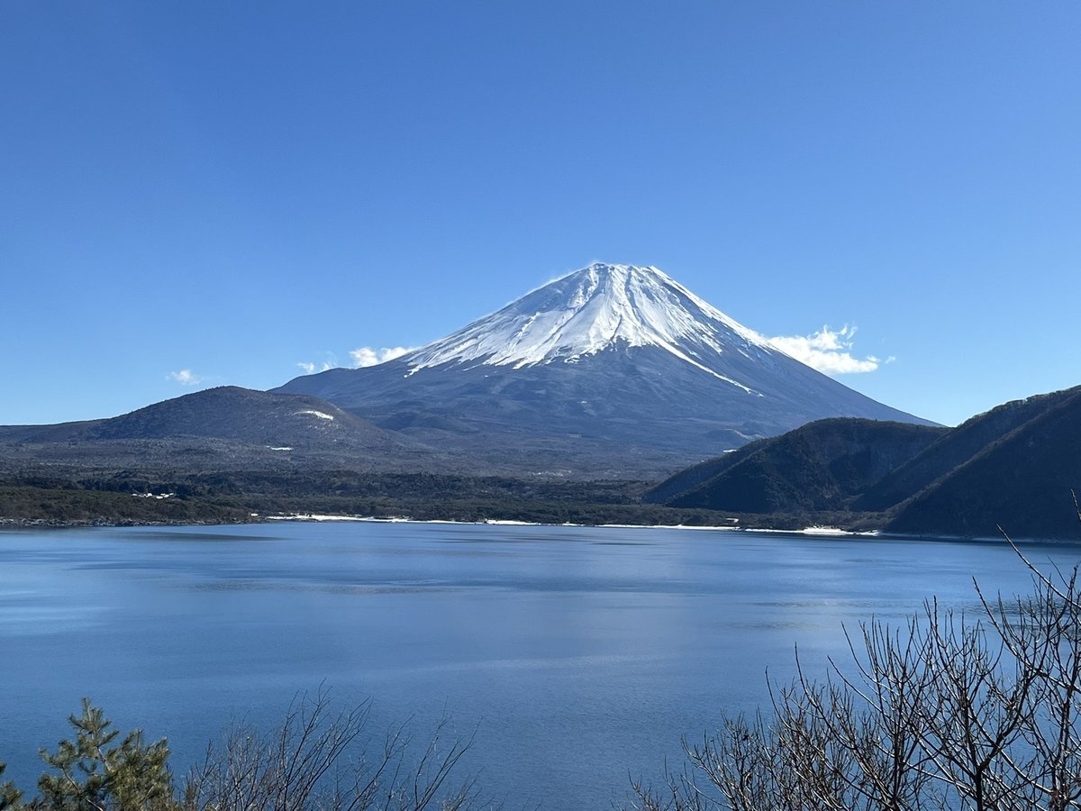 京都中央卸売市場 魚肴屋だいしめ🐟 tweet media