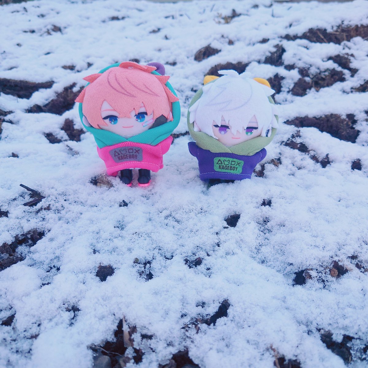 ❄︎*.° 関東もちょっと雪積もったよ⛄ ぱぺには初雪❕🌨️ ₊ ⊹ 雪