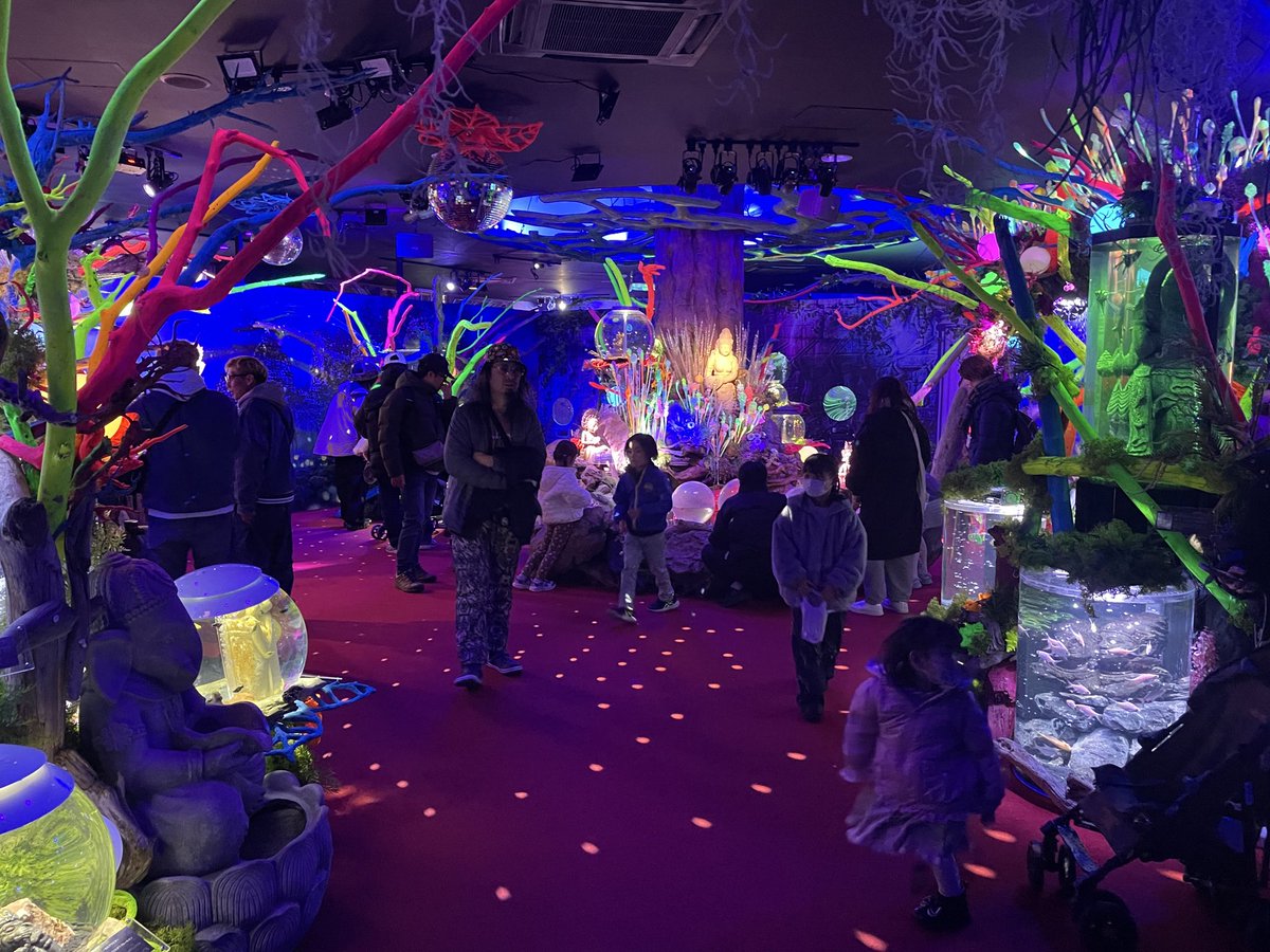 dffmst's tweet image. ひらパーの水族館良すぎ