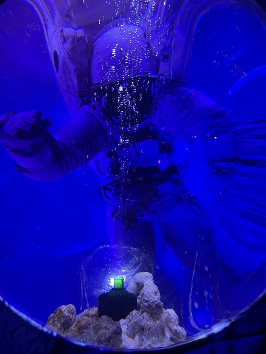 dffmst's tweet image. 楽しい