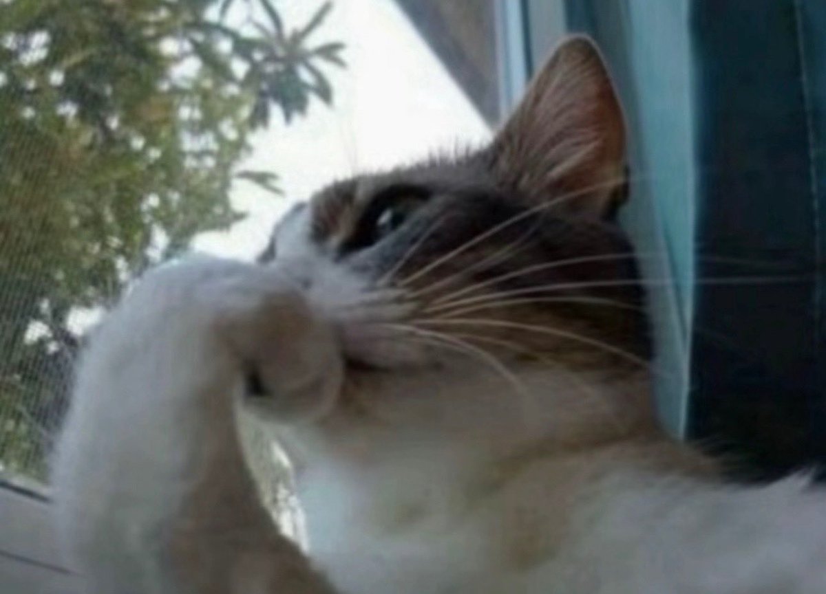 manwelllb_'s tweet image. so many things left unsaid