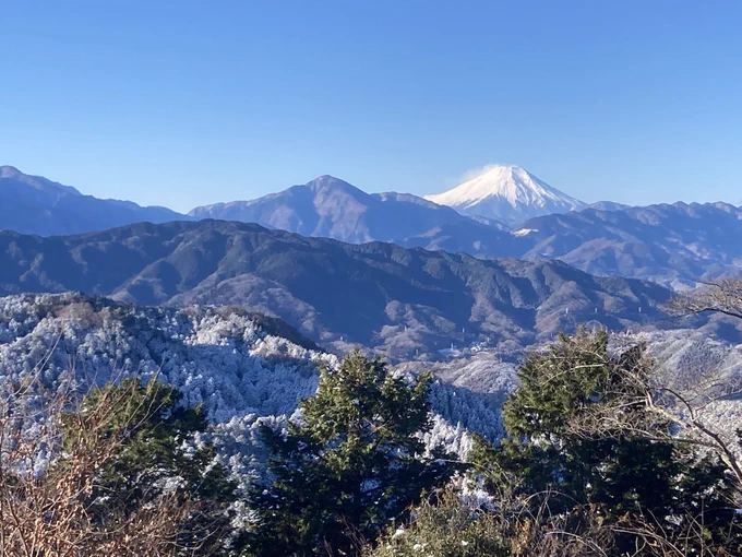 今年も登りました