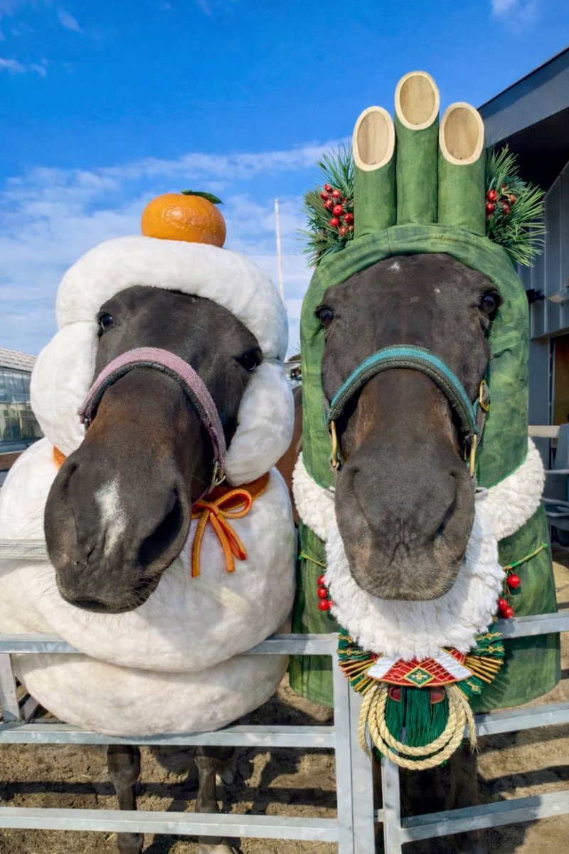 FairyMirror0424's tweet image. リベンジでお正月にしたら可愛くなった！