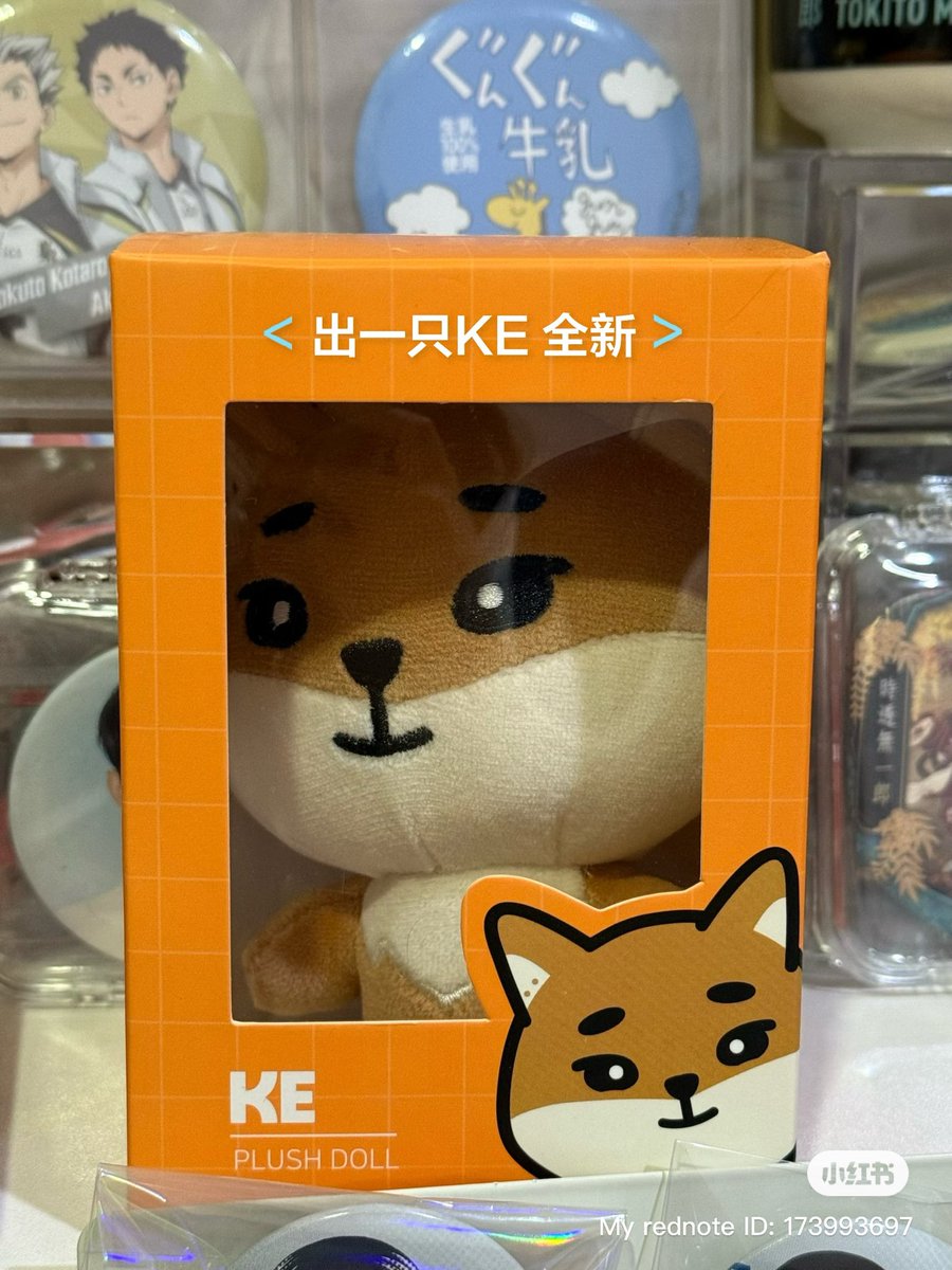 mbti is C.U.T.E babe tweet media