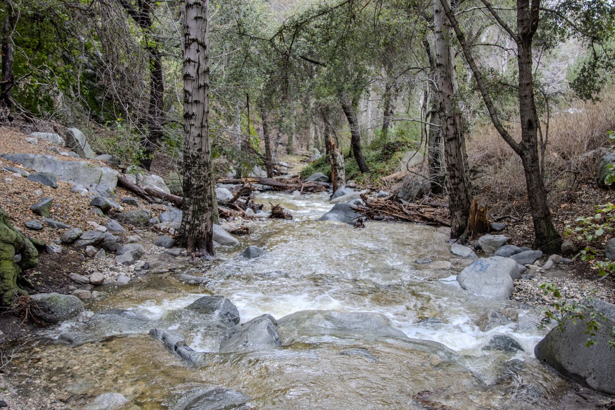 Cyantooth's tweet image. Свитцер-Фолс