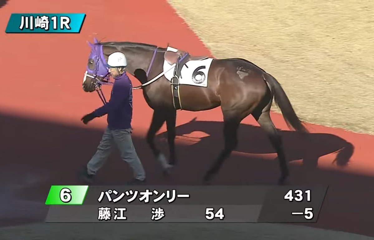 ドアラ姫🐨2号 (@crazy_nanachan) / Posts / X