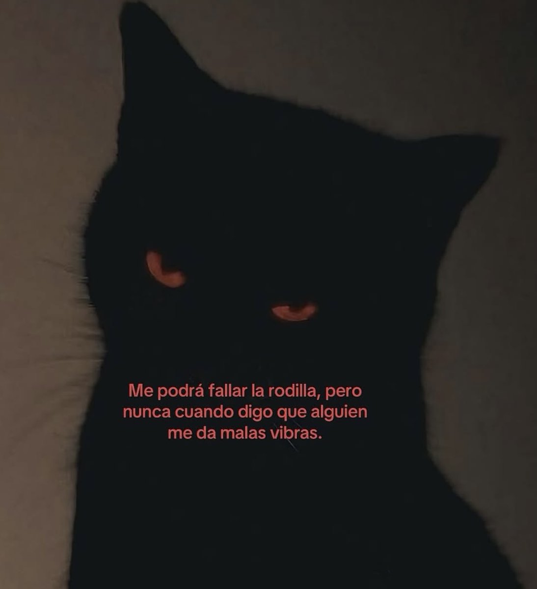 vibes (@vibesfyp) on Twitter photo 