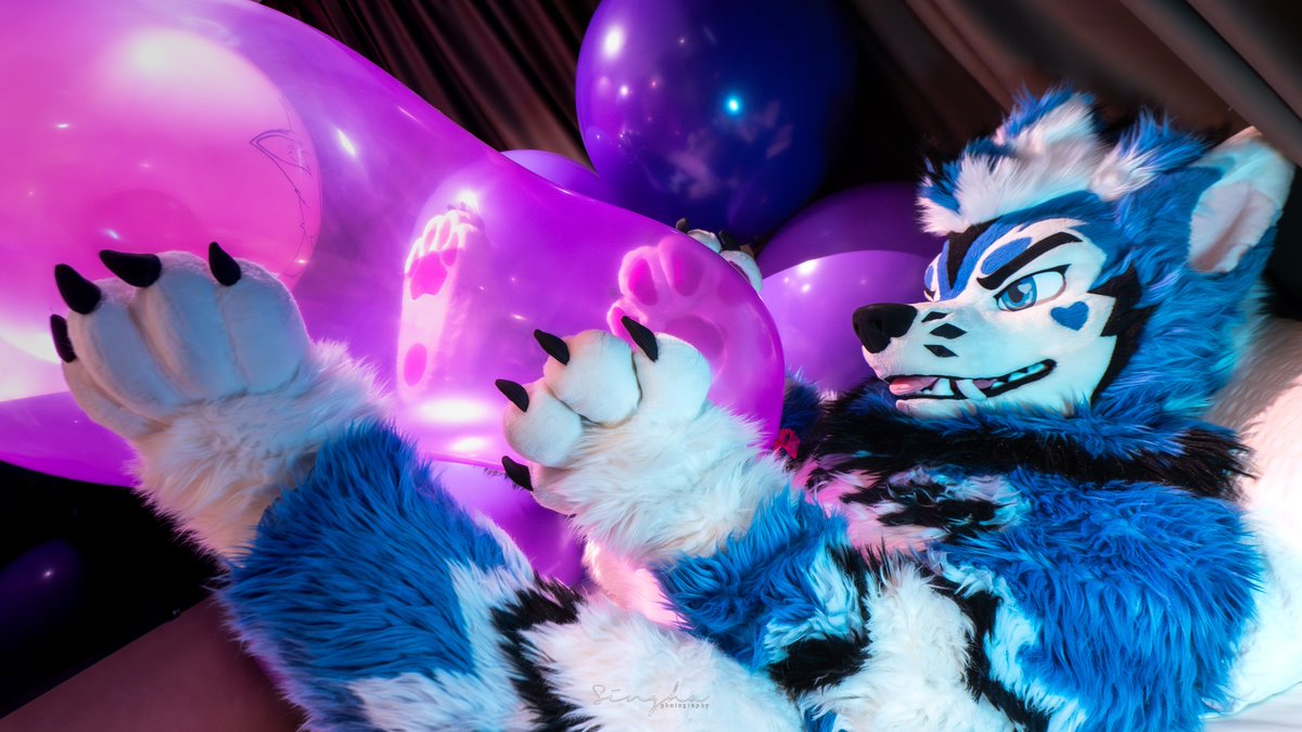 Blusicurl's tweet photo. Come take a glimpse into a shiny future~ ✨

First #FursuitFriday 2026!

📷: @rekirc https://t.co/KQ51d6ssBK