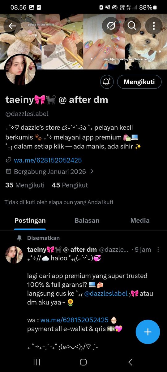 chan tweet media