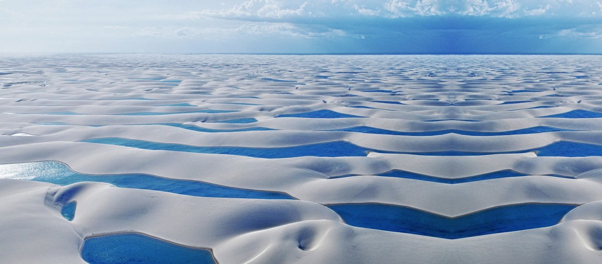 MetaMoldz tweet media