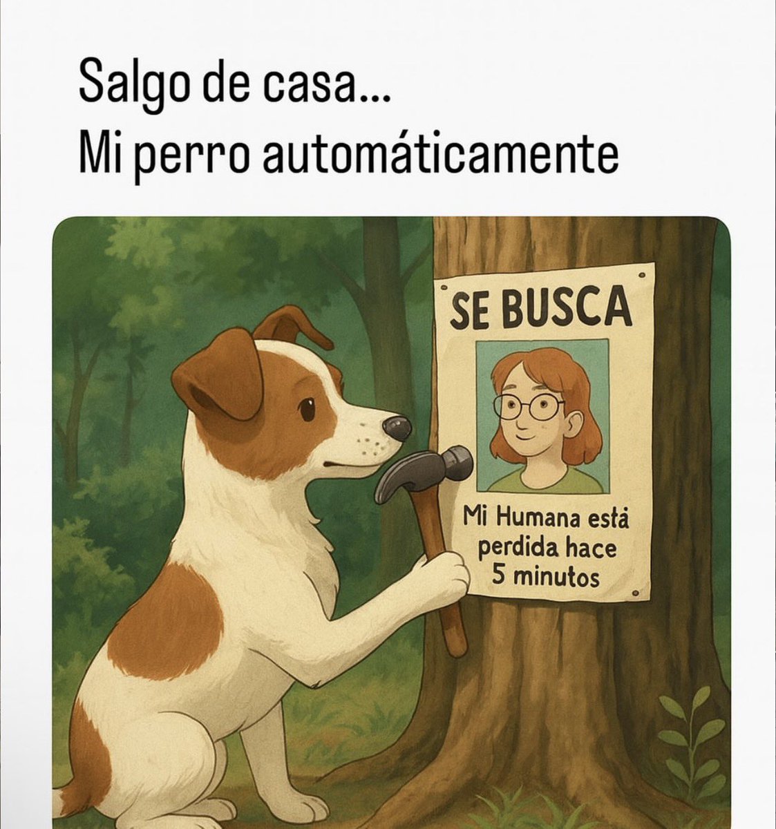 SuavesLomitos's tweet image. 