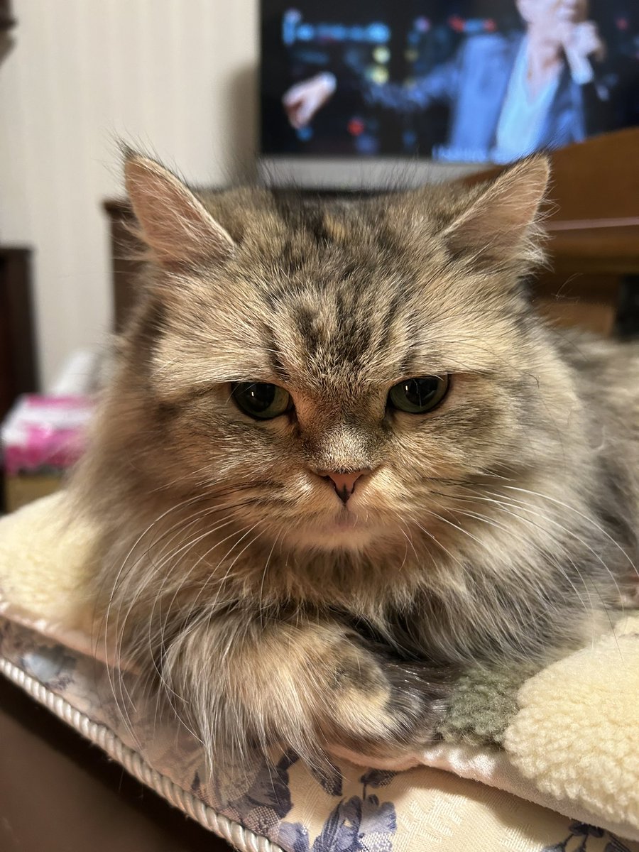 maru_33's tweet photo. 極楽湯にて今年初サウナですっきり！
今年もよろしくお願いします https://t.co/dCAGoTxCtK