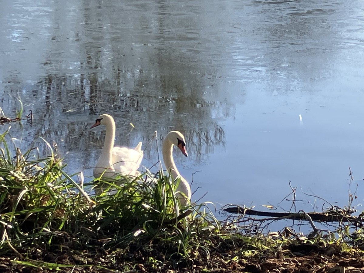 Piedwagt tweet media