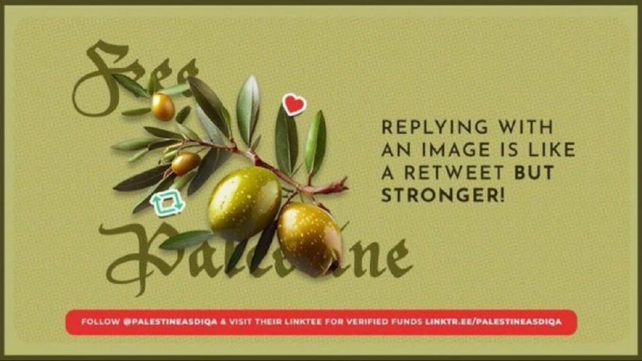 What can we say to open your eyes to the urgency? Thousands of Families in Gaza are suffering and will die if we do not act now!! Explore 100+ funds, distributions, actions &amp; resources in Palestine Asdiqa’s Link Tree, curated for your ease! Act now! linktr.ee/palestineasdiqa