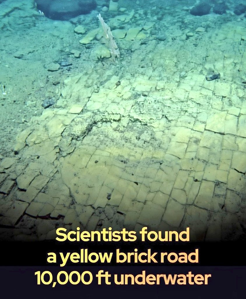 科学家在海底发现了一条“黄砖路”。 2022 年，在“鹦鹉螺号”科考船（E/V  Nautilus）执行夏威夷北部古代海山测绘任务期间，科学家们在海底发现了一处引人注目的地质特征：一块破碎的岩石表面，上面布满了形状异常精确的矩形石块，以及锐利的, image size:844x1024