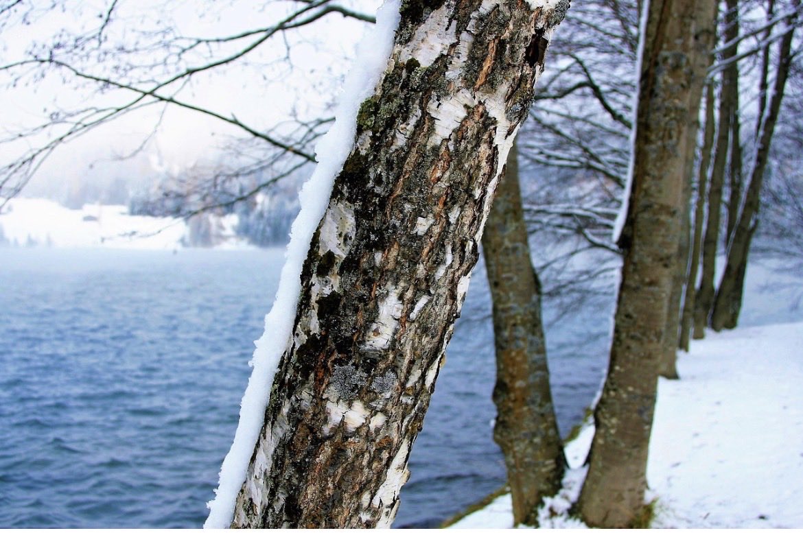 #SatSplat
#poem
#poetry
Your black hair plays in my mind,
eyes that I almost remember—
a smirk resting at the corners of each,
a soft look, uniquely yours.
You said you were tossing pennies in a well,
wondering if it was too deep to hear my echo. 
Yet the sound traveled farther