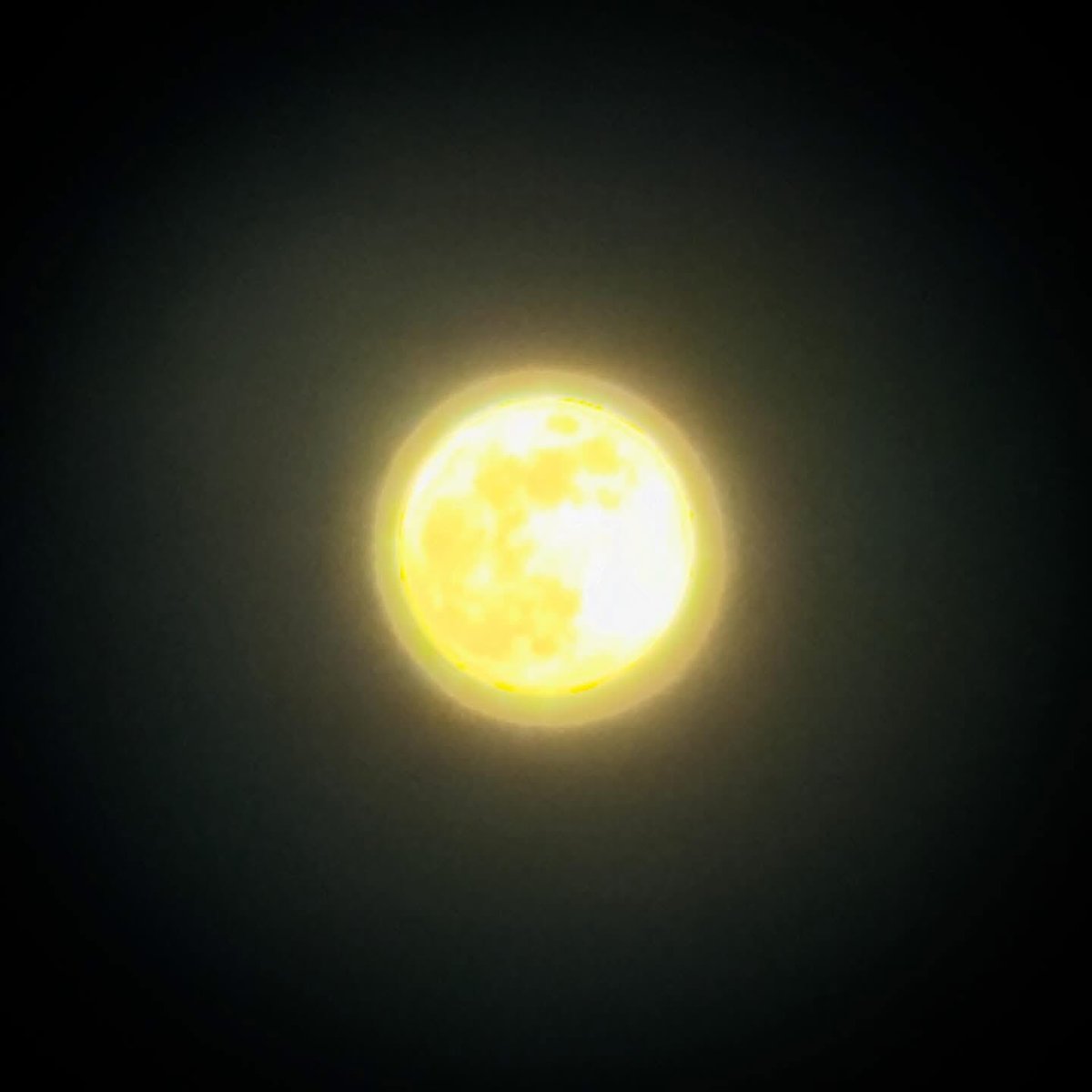 BullofBaboons's tweet photo. Hope everyone had a safe &amp; Happy New Year! Also hope those that like to bask under the light of the moon’s glow are enjoying this Wolf Super Moon. https://t.co/Fh0I7R4zsR