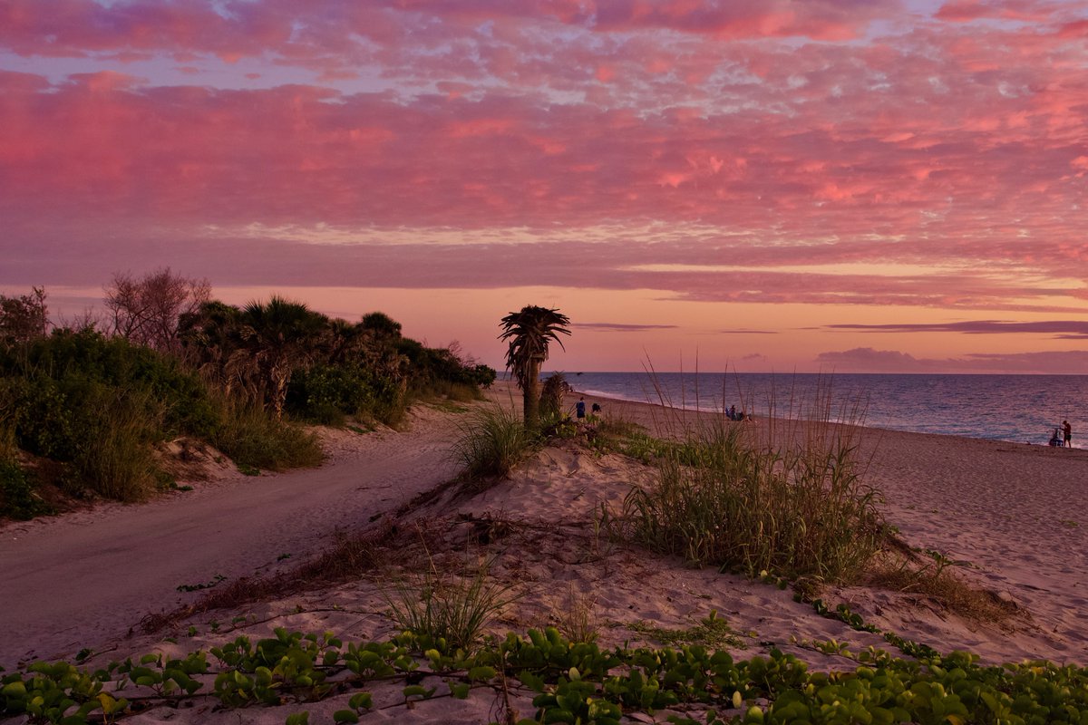 DeepGreens2's tweet image. About tonight...
Caspersen Beach, Florida 
#Photography #StormHour #BeachLife