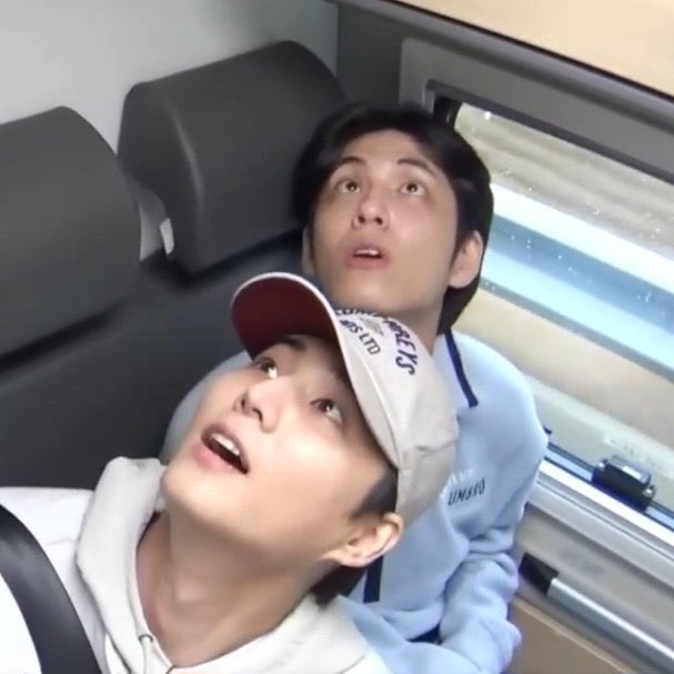 _goldielisajane's tweet image. 냥끼들.. 너무 기여워 장난감 흔들어줄래