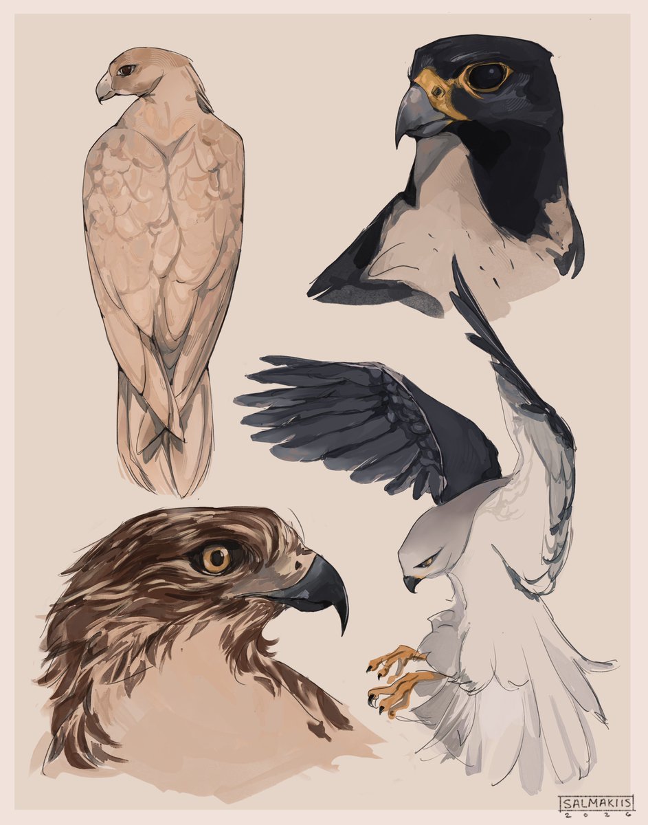 happy new year ! have some birds <3