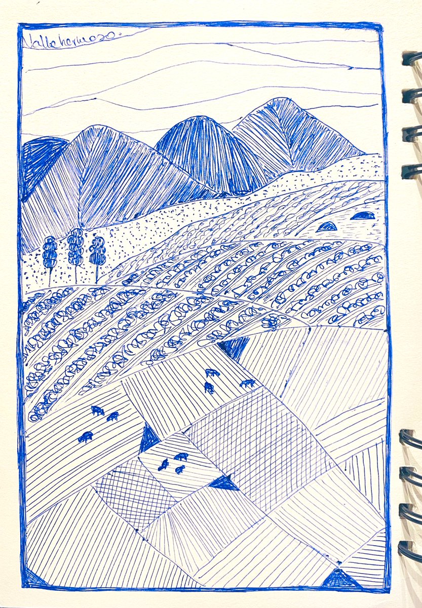 ¡Feliz aniversario Cajamarca!🎉♥️🇵🇪
#art #artistbook #ilustración