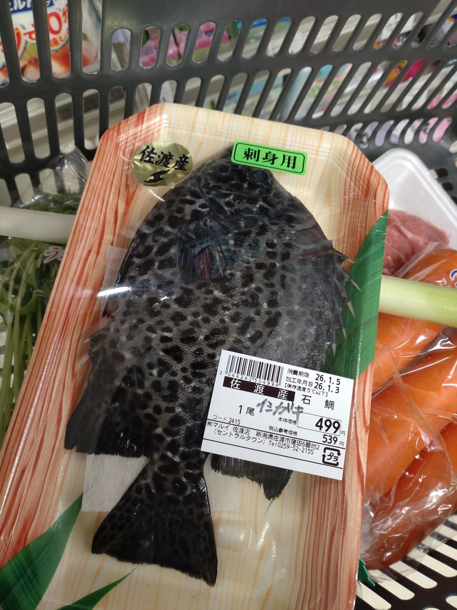 Mobさん (@MobMomomomo) / Posts / X