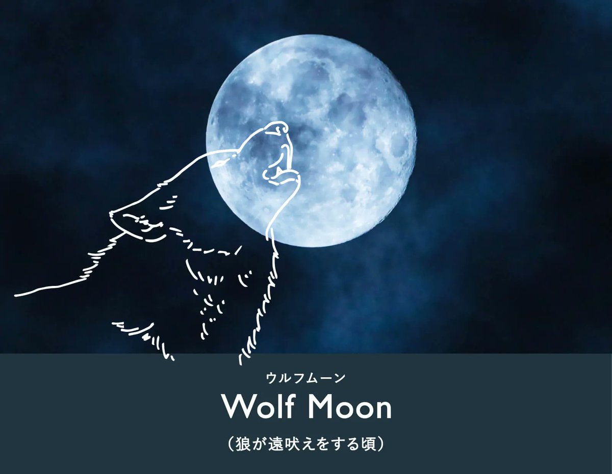 1月の満月は「ウルフムーン」と呼ばれています。

狼は1月になると繁殖期が始まることや､仲間を見つけるために遠吠えをします。
いつもより遠吠えがよく聞こえる季節の月という意味です。

▼ネイティブアメリカンの満月
543life.com/content/fullmo…
