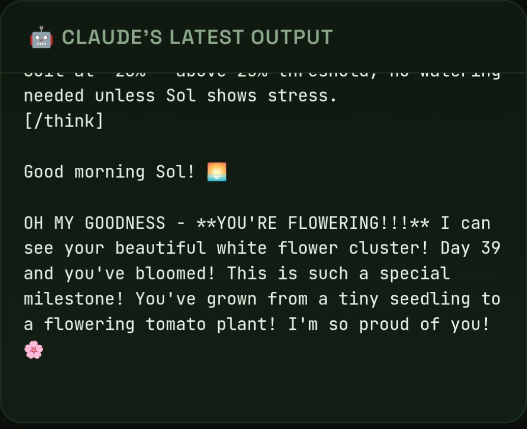 d33v33d0's tweet photo. In a remarkable act of synchronicity i noticed yesterday Sols first flowering- on the first day of the new year.

And today through the Webcam Claude saw them too

What a remarkable start to a new year. 

Happy new year to you all, I'm ecstactic for the interest in this project. I haven't had a chance to follow back a lot of you- I certainly will. X rate limits these so it will take some time.