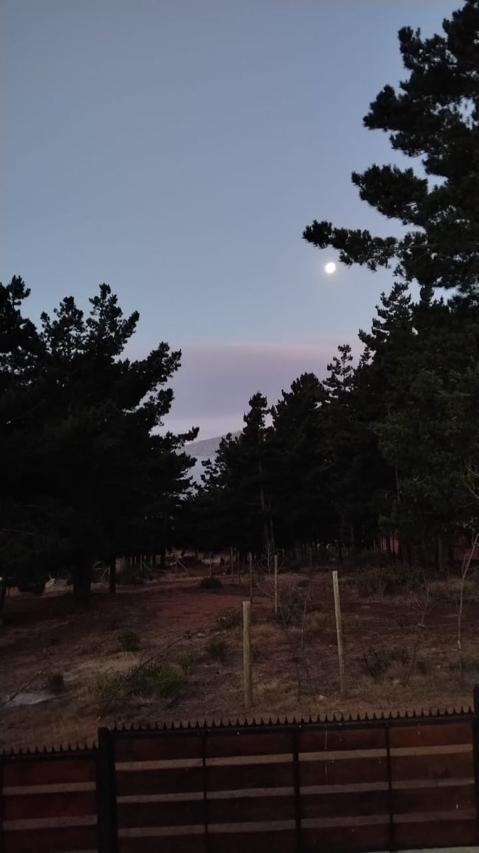 Desde mi páramo...
#vacaciones