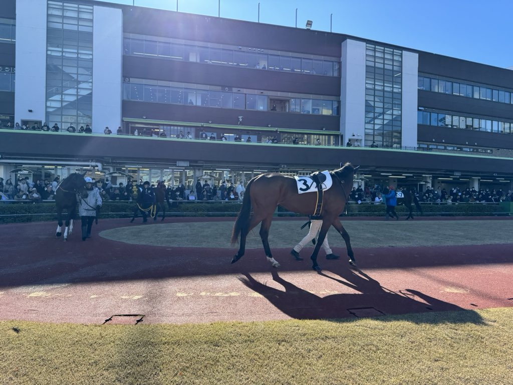 つよぽん ツヨシ24ざわちん（つよぽん・ぽんさん・ぽんす） (@kattobaseaoki