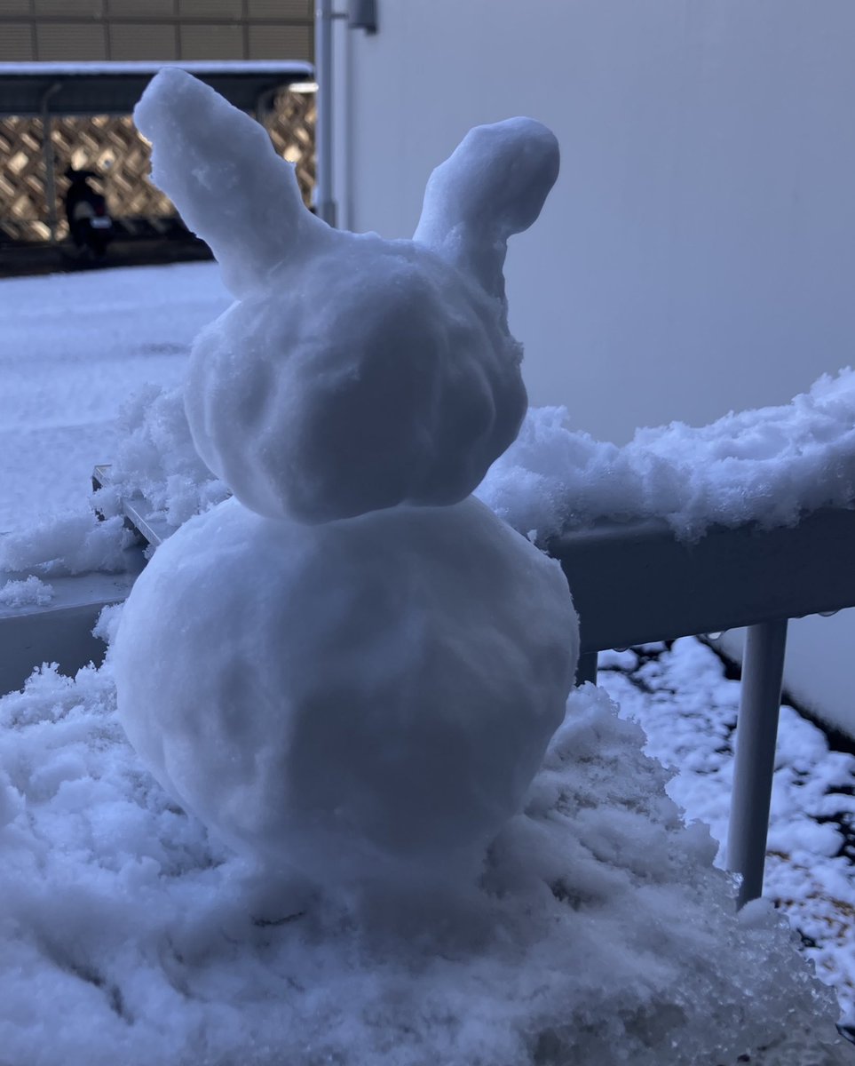 Koke_love83's tweet photo. 昨晩からの雪❄️
なかなかに降っていた。

せっかくなら…と端に雪だるま⛄️を
作ってみた。街の至る所に雪だるまが
あって可愛い❄️⛄️

#雪だるま　#ウサギ　#広島 https://t.co/MrJ8HXp24A