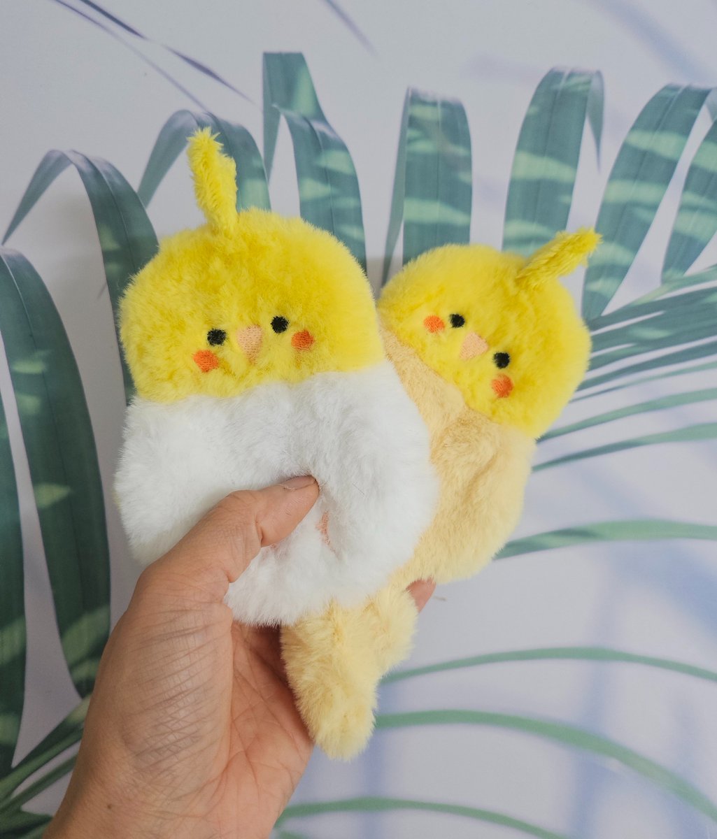 이거슨 인형인가 파우치인가?
털찐앵무새 카드지갑파우치
뉴기니아 &amp; 왕관앵무새