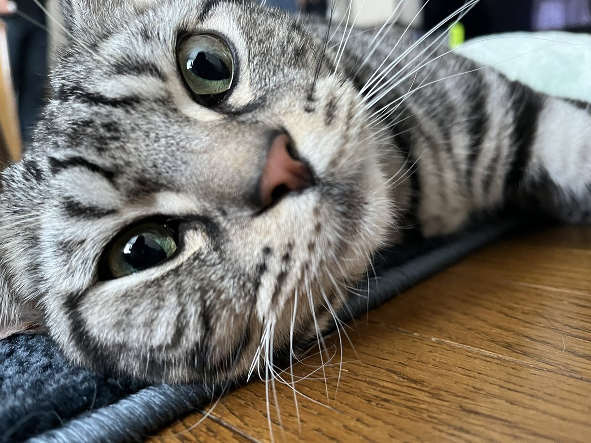 おさっちゃん様 148629-4-