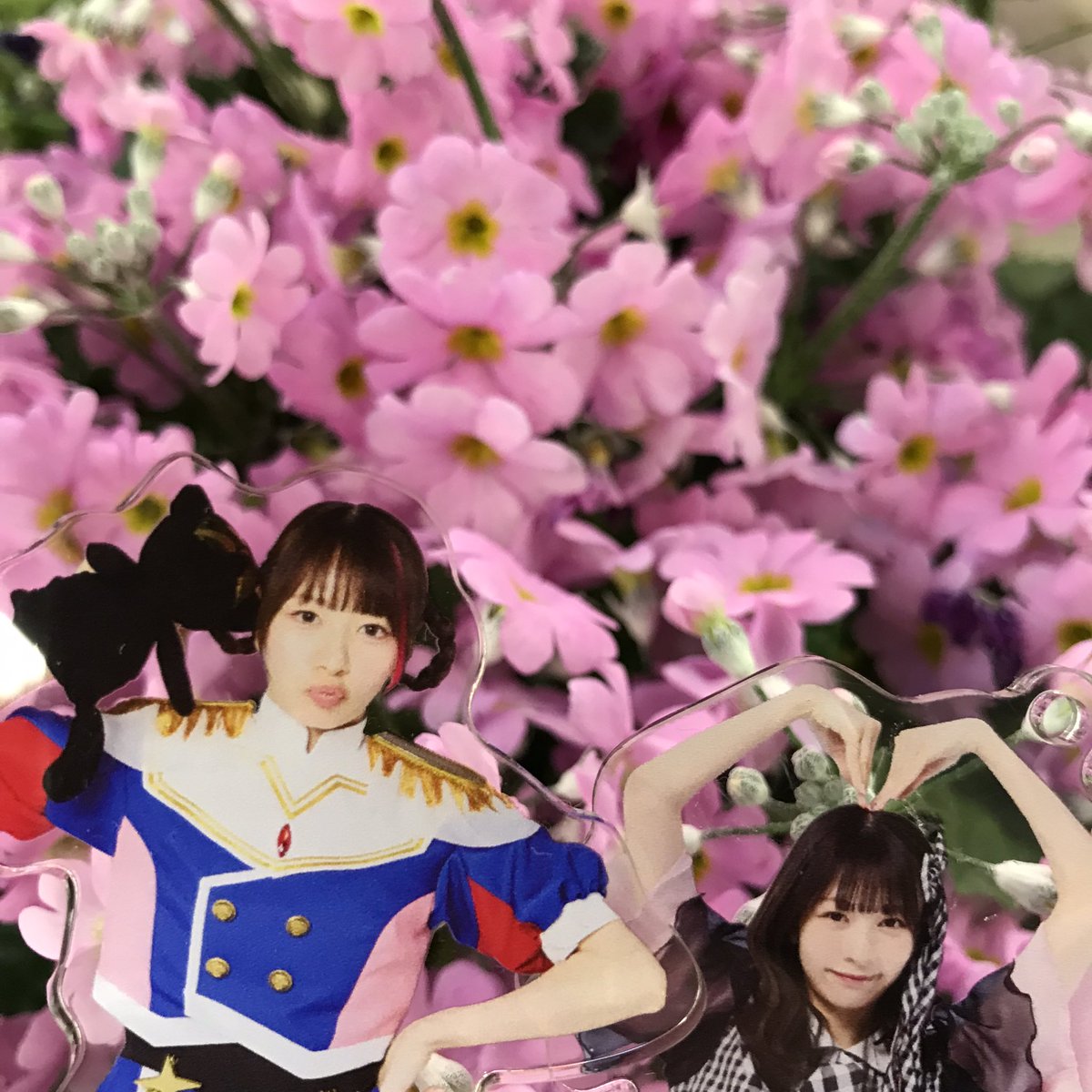 きよっぴー (@Ki4PPY_) / Posts / X
