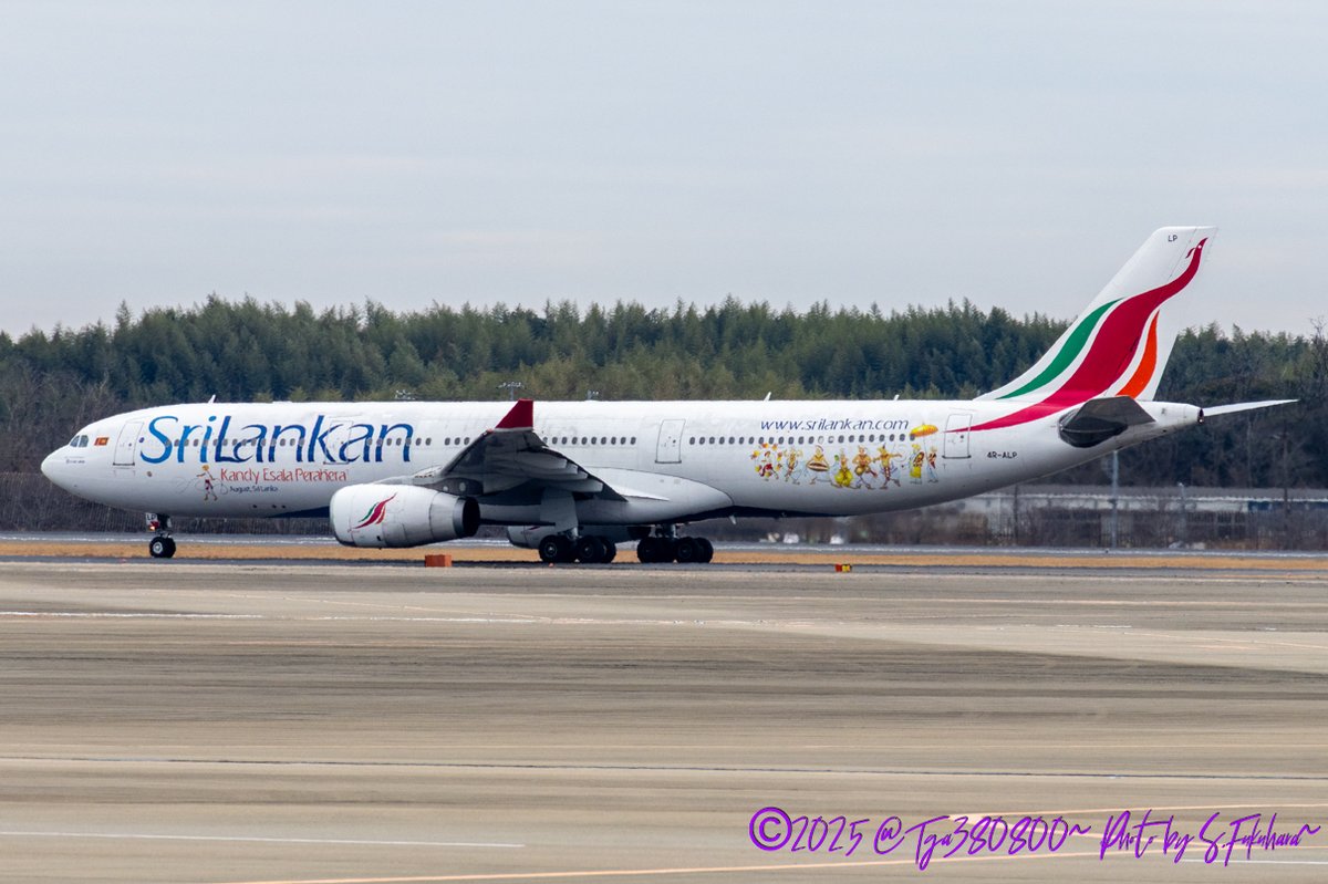Tga380800's tweet image. Airline:SriLankan Airline
Aircraft:A330-300
Locations:NRT
Date:27/12/2025
Remarks:Kandy Esala Perahera Livery

#SriLankanAirline #スリランカ航空 #UL
#Airbus #A330 #A330300
#NRT #NaritaInternationalAirport #成田空港 #成田国際空港 #RJAA
#飛行機好きな人と繋がりたい #飛行機好きな人