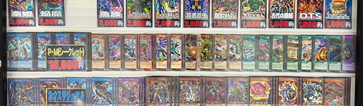 【高レアリティ】PM デッキ　プラズマティックモデル　遊戯王ラッシュデュエル 🌍遊戯王ラッシュデュエル 販売情報🌍 P・M(プラズマティックモデル