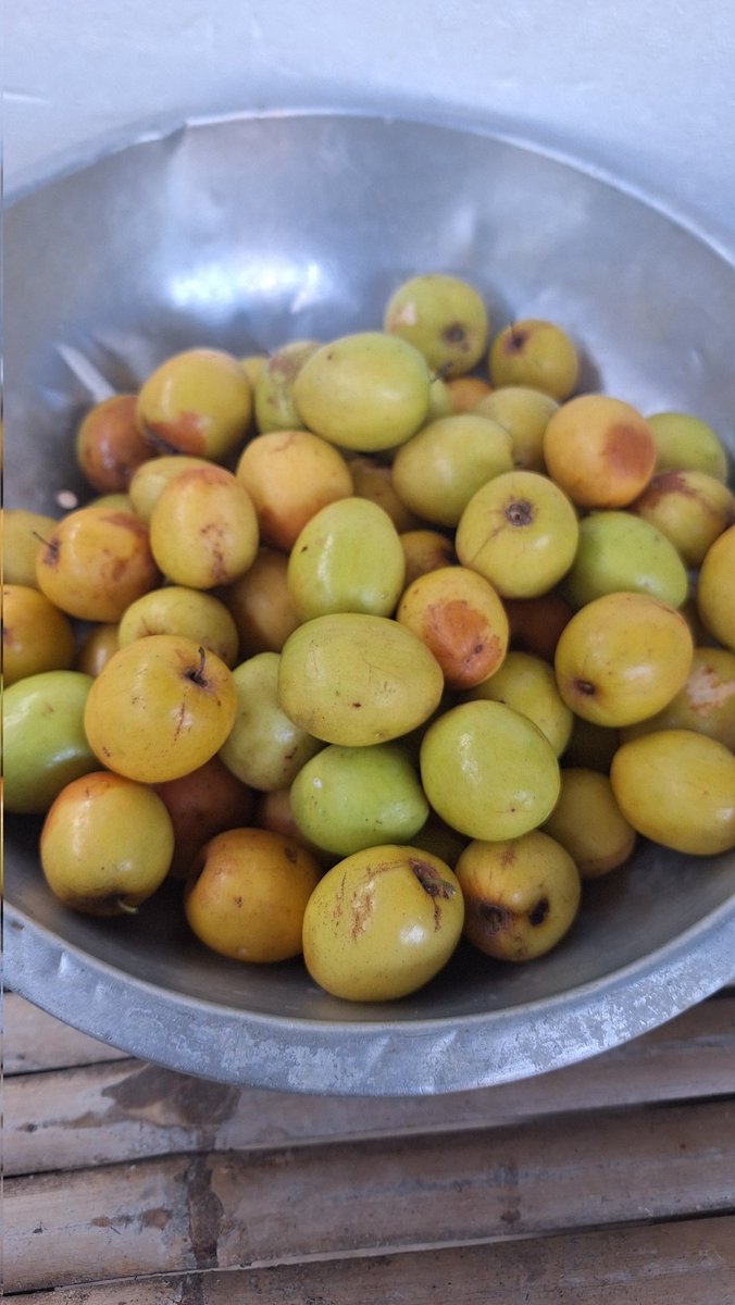 สเบียงสำหรับมื้อเช้า จากขอนแก่น สู่ กทม.กินข้าวในรภ กลัวรถติด เป็นอีกมื้อที่อร่อยมากๆ แม่ทำให้ตอน 6 โมงเช้า
 อิ่มมากๆ ❤️
#เป๊กผลิตโชค 
#PeckPaLitchoke