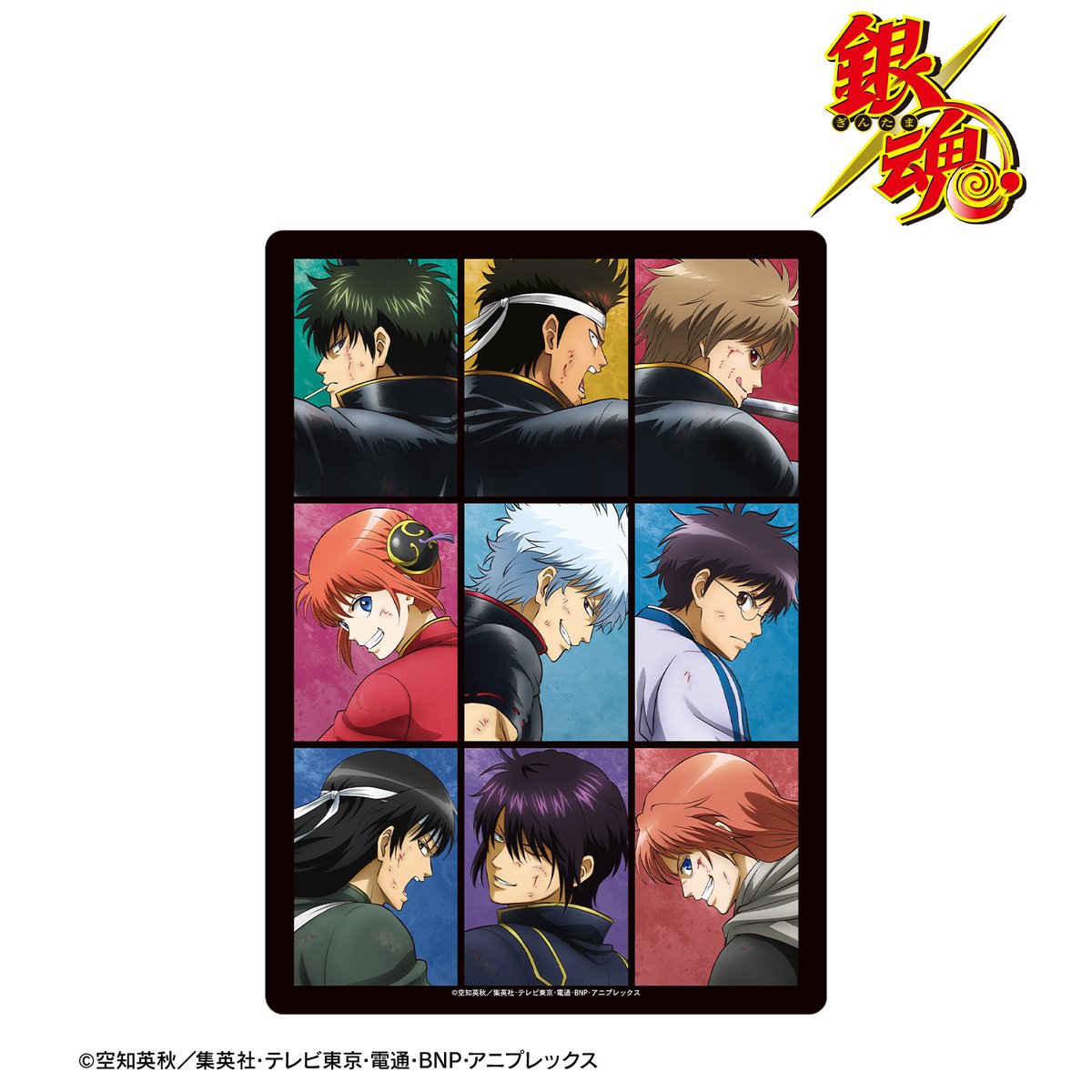 銀魂_描き下ろし 集合 戦う背中ver. 第2弾 A5硬質ケース コレイズにて