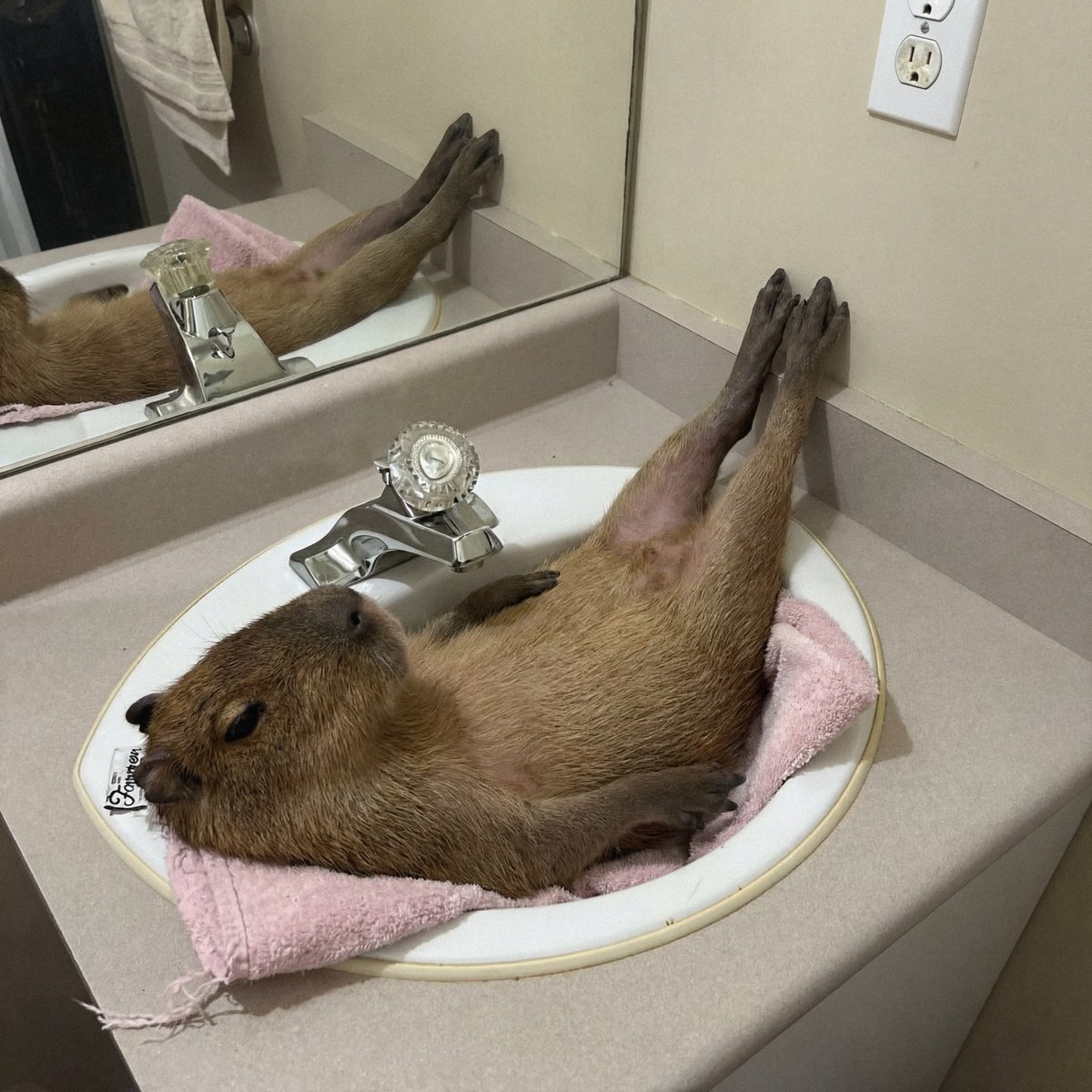 spa day