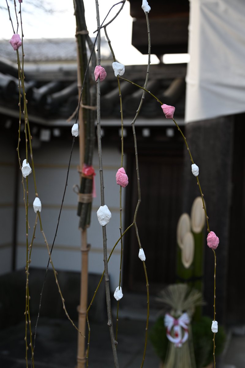 明けましておめでとうございます。
昨年は格別のお引き立てを賜り、心より御礼申し上げます。本年もどうぞよろしくお願い申し上げます。

年明けは本日より 9:30～17:30 で営業しております。

立ち寄ったお寺で花餅が飾られていたので、パシャリ。

#武蔵野七福神